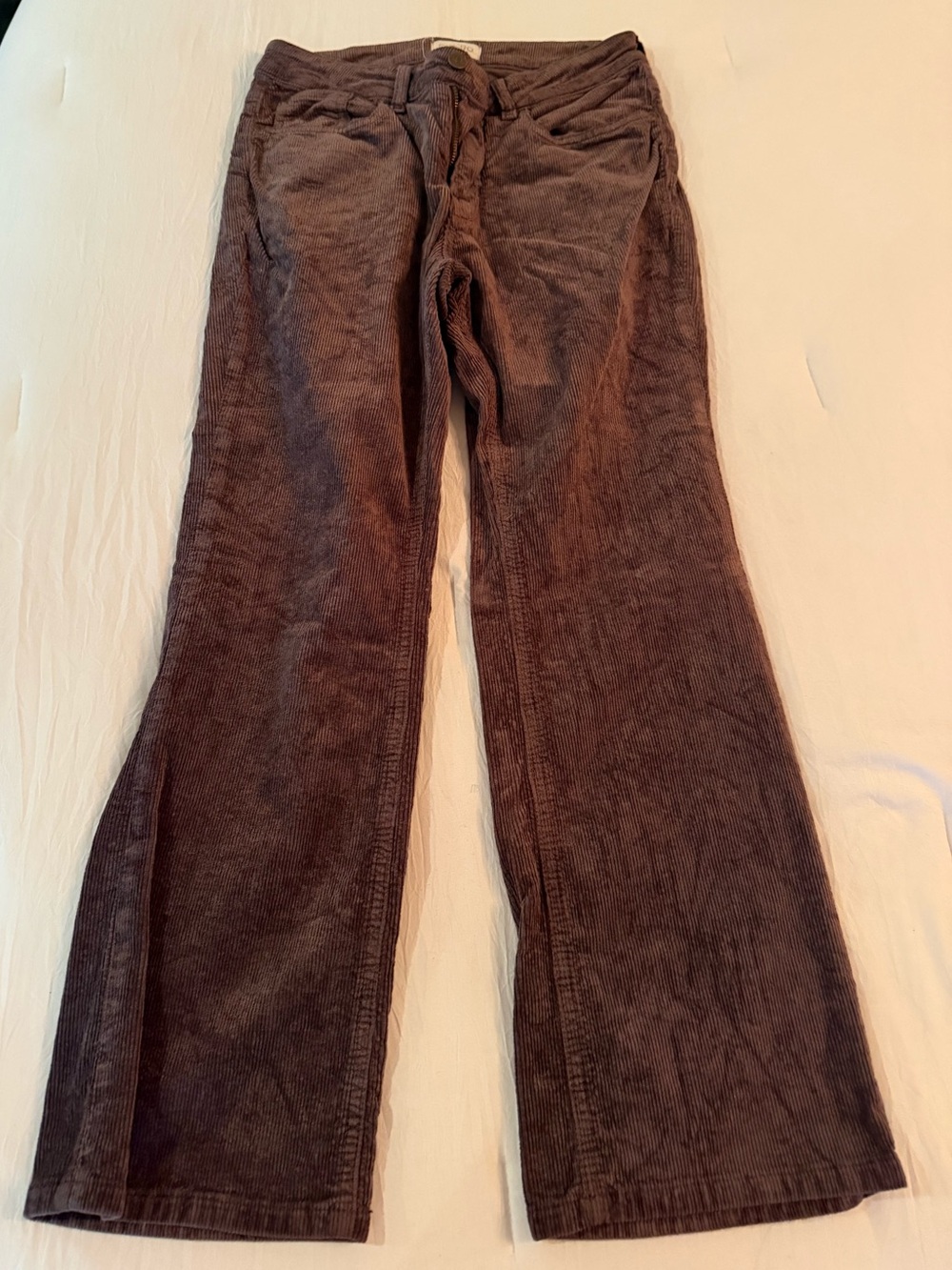 Pilcro Corduroy Boot-Cut Pants in Dark Brown